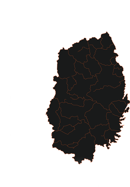 岩手県内全域